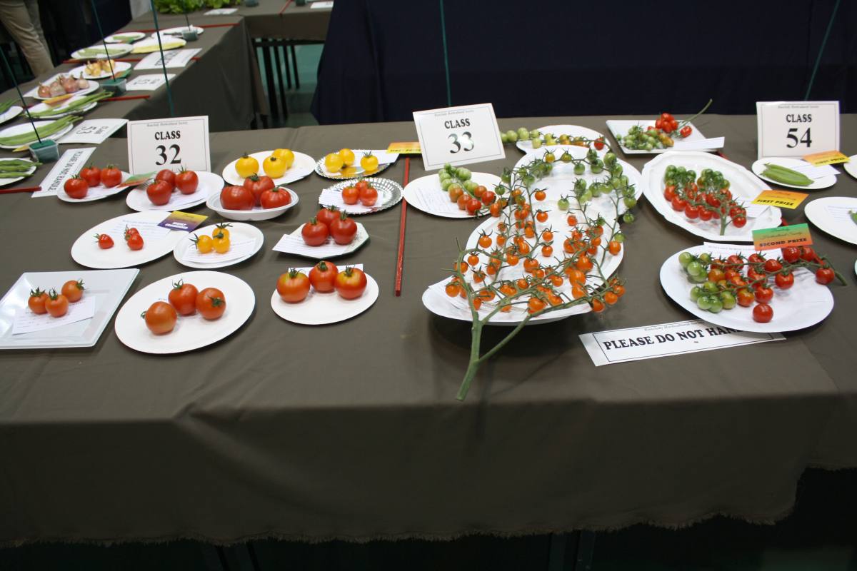 ../Images/Horticultural Show in Bunclody 2014--46.jpg